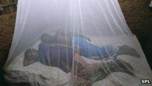 People sleeping under mosquito net